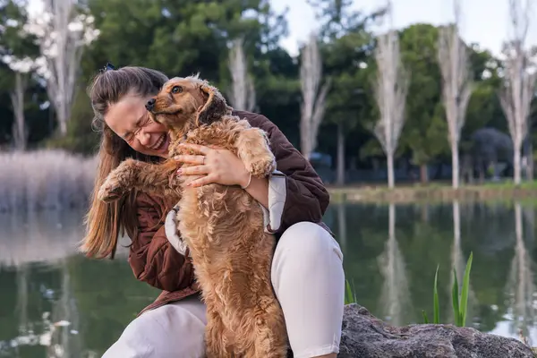 Sevgi dolu bir sahip, güneşli bir parktaki bir kayanın üzerinde oturur ve cocker spaniel 'iyle neşeyle etkileşime geçer. Altın saat, doğanın ortasındaki bağlarını güçlendiren sıcak bir parıltı saçar..