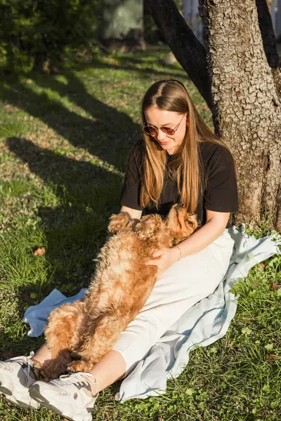  Neşeli cocker spaniel köpeğinin portresi sırt üstü döner ve sahibinin parkta sevgiyle beslediği güneşin tadını çıkarır. Bu sıcak bağ, derin sevgilerini ve açık havada huzurlu bir ortama olan güvenlerini gösteriyor..