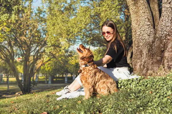 Bir kadın bir ağacın altında oturur, cocker spaniel 'ıyla bir anlık neşe paylaşırken gülümser. Etrafı yeşilliklerle çevrili, huzurlu bir park ortamında güneş üzerlerine doğuyor..