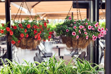 Kırmızı ve pembe çiçeklerle dolu renkli çiçek sepetleri yaz boyunca canlı bir açık hava yemek alanında asılı durur. Hindistan cevizi dolgulu çevre dostu tencereler, doğal, sıfır atık kavramı