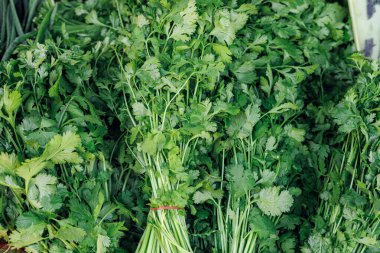 Canlı yeşil samphire demetleri sabahın erken saatlerinde yerel bir markette düzgünce düzenlenir. Bitkinin narin ve narin gövdesi çiğ taneleriyle parıldayan taze bir hasat sergiliyor. Müşteriler.