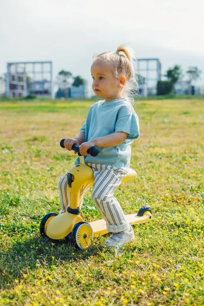 Küçük çocuk sarı bir oyuncağa ya da scooter 'a ya da dengeli bir bisiklete biner ve açık gökyüzünün altındaki çimenli parka bakar. Mekan uzak dağlar ve ağaçlarla huzurlu, açık hava eğlencesi için mükemmel..