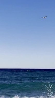 Bir martı kuşu azgın bir denizin üzerinde uçuyor. Parlak güneşli bir gün, arkada dağlar. Yüksek kalite 4k görüntü