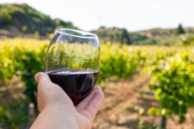 Üzüm bağında bir bardak kırmızı şarap tutan bir el. Bereketli yeşil üzümler açık mavi bir gökyüzünün altına kadar uzanıyor. Sahne, Türk şarap kültürünün özünü yansıtıyor.