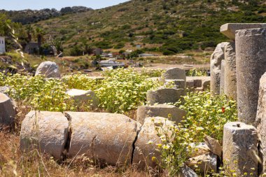 Antik taş kolonlar, Türkiye 'deki tepelerle çevrili çimenli bir alana saçılmış. Harabeler tarihi mimariyi ve doğal güzelliği yansıtıyor..
