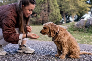 Uzun kahverengi saçlı genç bir kadın parkta açık kahverengi bir cocker spanyel ile etkileşime giriyor. Köpek çakıllı bir yolda oturuyor, ona bakıyor..