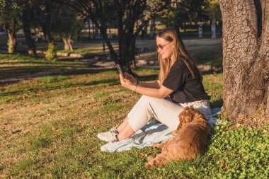 Uzun kahverengi saçlı beyaz bir kadın parktaki bir battaniyenin üzerinde tablet kullanarak oturuyor. Küçük altın bir cocker spaniel otların üzerinde dinleniyor..