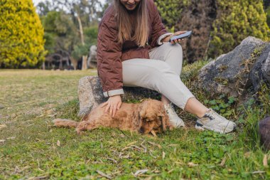 Uzun kahverengi saçlı genç bir kadın bir kayanın üzerinde oturur, parkta çimlerin üzerinde küçük altın bir cocker spaniel 'i okşar..