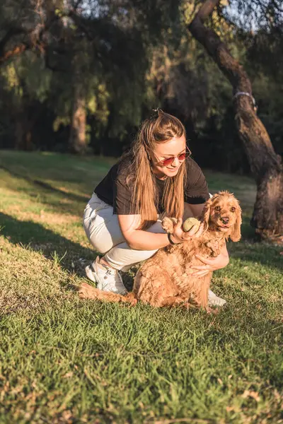 Uzun kahverengi saçlı beyaz bir kadın çimenlerin üzerinde diz çöküp güneşli bir parkta açık kahverengi bir cocker köpeğiyle oynuyor..