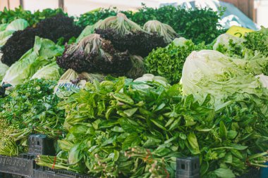 Yerel bir markette taze, organik sebzeler sergileniyor. Çeşitli türde marul ve bitkiler sandıklara dizilir, canlı renkler ve dokular sergilenir..