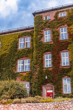 Yeşil sarmaşıkla kaplı tarihi bir bina. Yapıda büyük pencereler ve kırmızı bir kapı yer alıyor. Sahne bulutlu bir gökyüzüne göre ayarlandı..