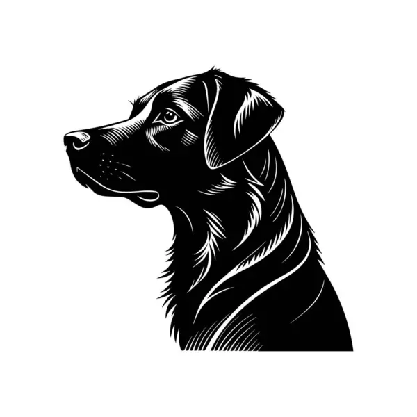 Siyah siluet bir köpeğin vektör çizimi, siyah labrador retriever, siyah labrador yavrusu