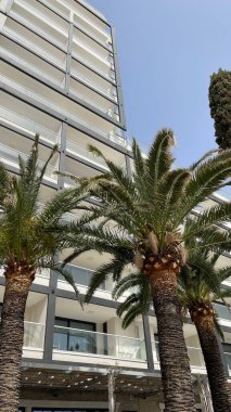 Çakıl taşlı kumsaldaki güzel kayalar. Rafailovici tatil köyleri. Karadağ. Adriyatik Denizi. Yaz güneşli bir gün. Deniz kenarı tatil konsepti. Yüksek kalite fotoğraf