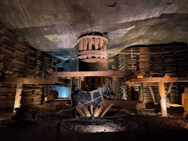 Wieliczka, Polonya: Polonya 'nın güneyindeki Wieliczka kasabasındaki Wieliczka Tuz Madenindeki Tuz Heykelleri, UNESCO Dünya Mirası. Yüksek kalite fotoğraf