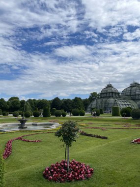  Bu, Schonbrunn Palas Parkı 'ndaki Palm House portakallarının yapay iç mekanı. Yüksek kalite fotoğraf