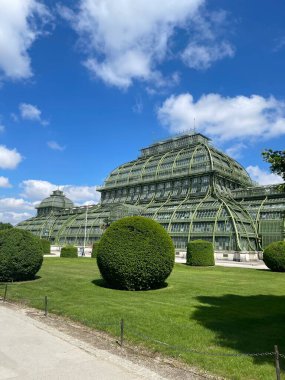  This is the artificial interior of the Palm House orangery in Schonbrunn Palace Park. High quality photo clipart