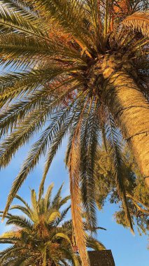 Porto Karadağ yatı. Karadağ 'ın seçkin bölgeleri. Yüksek kalite fotoğraf
