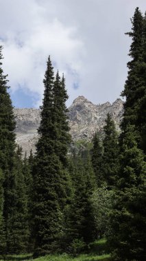 Görkemli manzaranın manzarası, Kazakistan