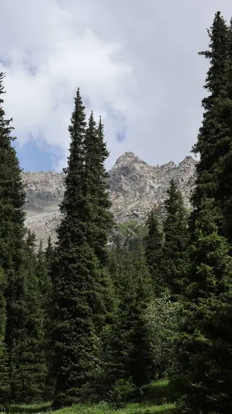 Görkemli manzaranın manzarası, Kazakistan