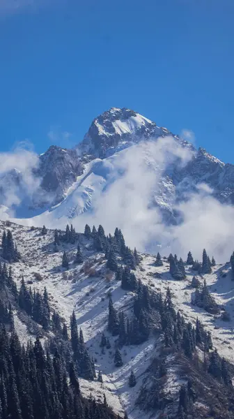 Almaty dağlarının zirvesi 