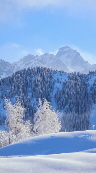 зимний пейзаж в горах 