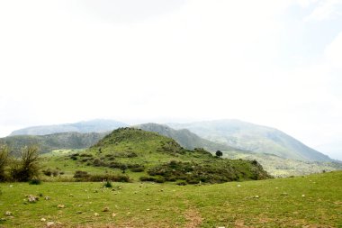 Beton adasının yeşil tepeleri