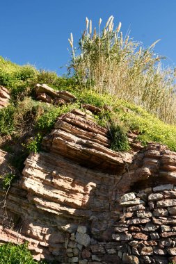 Yeşil çimenli eski taş duvar