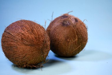 Mavi arkaplanda hindistan cevizi