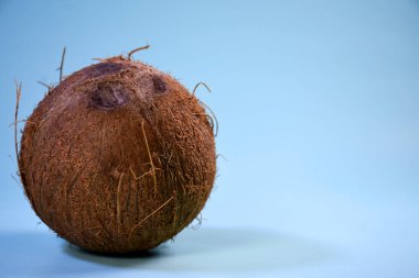 Mavi arkaplanda hindistan cevizi