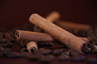 Tarçın kahve çekirdekleri bir arka plan üzerinde sopa