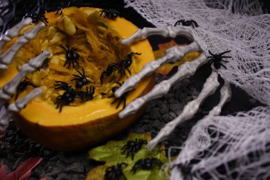 Cadılar Bayramı. Tatil için arka plan. İskeletin ellerinde yaprakları olan bir balkabağı. Örümcekler, toprak, örümcek ağı, sonbahar.