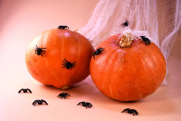 Cadılar bayramı balkabakları ve örümcekler. Cadılar Bayramı. Arka planda örümcek ve örümcek ağları olan taze bir balkabağı..