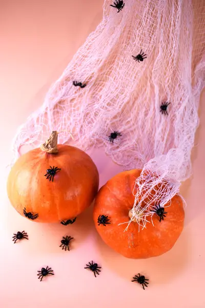 Cadılar bayramı balkabakları ve örümcekler. Cadılar Bayramı. Arka planda örümcek ve örümcek ağları olan taze bir balkabağı..