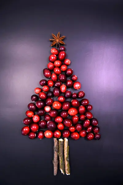 Kırmızı arka planda meyve, böğürtlen ve baharatlardan yapılmış Noel ağacı