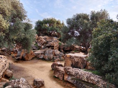 Eski harabelerin arka planında zeytin ağaçlarıyla kayalık doğal sahne. Yeşil ağaçlar ve çalılarla çevrili büyük taş yığınları. Doğayla uyum içinde olan tarihi bir yerin atmosferi..
