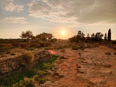 Eski harabelerin arka planında zeytin ağaçlarıyla kayalık doğal sahne. Yeşil ağaçlar ve çalılarla çevrili büyük taş yığınları. Doğayla uyum içinde olan tarihi bir yerin atmosferi..