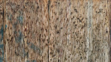 Doku ve çıkıntılı büyüme halkaları olan eski bir ahşap yüzeye yakın çekim. Bu doku arka plan, pankart veya rustik tasarımlar için idealdir.
