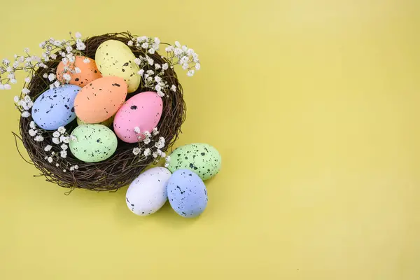 Sarı arka planda beyaz çigila çiçekleriyle süslenmiş bir yuvada çok renkli boyanmış yumurtalarla Paskalya kompozisyonu.