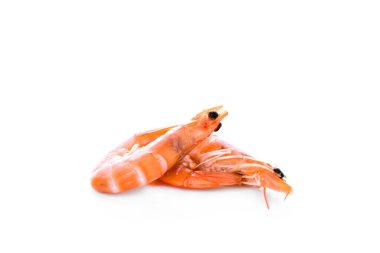 Beyaz arka planda parlak turuncu kabuklu haşlanmış karides.