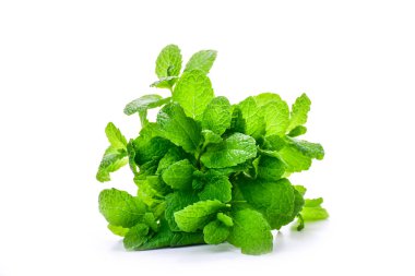 Beyaz arka planda izole edilmiş taze nane yaprakları. Zengin yeşil renkli ve detaylı yapraklı bir demet aromatik yeşillik..