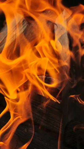 Ateş ahşap kütükleri parlak ve canlı bir alevle yutar. Soyut ve atmosferik çekim