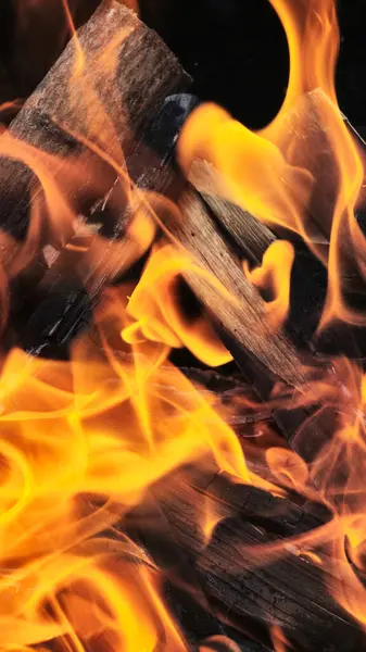 Yangın. Parlak ve canlı alevler içinde kütükler. Soyut ve atmosferik ateş görüntüsü