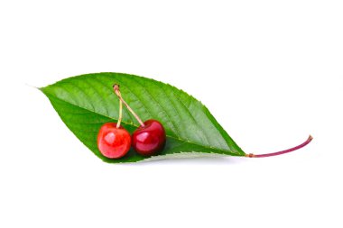 Beyaz arka planda büyük yeşil bir yaprağın üzerinde iki taze kiraz yatar. Sulu böğürtlenlerle minimalist yaz kompozisyonu.