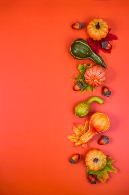 Sonbahar kompozisyonu, parlak turuncu arka planda dekoratif balkabakları, meşe palamutları ve sonbahar yaprakları. Sonbahar, hasat festivali ve Şükran Günü konsepti. Metin ve tasarım için boş alan..