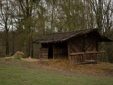 Çimenli bir tarlanın ortasında ağaçlarla çevrili ahşaptan yapılmış tuhaf bir kulübe ve güzel bir doğal manzara.