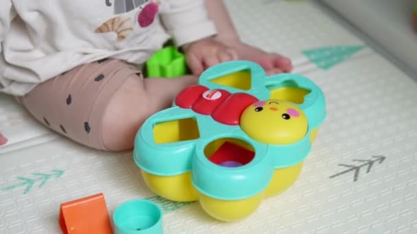 Criança Brinca Com Plástico Brinquedo Bebê Classificador Com Figuras Geométricas — Vídeo de Stock