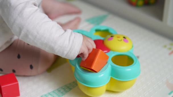 Child Plays Plastic Toy Baby Sorter Geometric Figures Top View — стокове відео