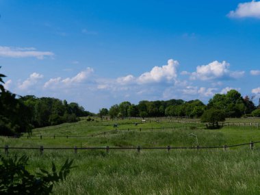 Küçük tepelerdeki yeşil çimen tarlası ve bulutlu mavi gökyüzü. Yüksek kalite fotoğraf