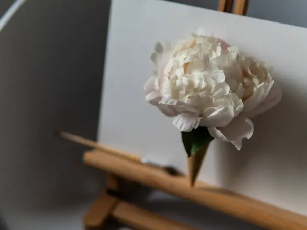 stock image Creative peony flower in a waffle cone stands on an easel Summer minimal concept. High quality photo