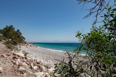 Kıyı şeridi ve bitkinin arkasından deniz manzarası. Yüksek kalite fotoğraf